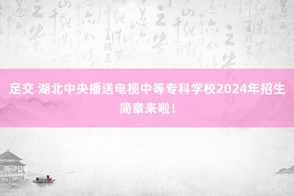 足交 湖北中央播送电视中等专科学校2024年招生简章来啦！