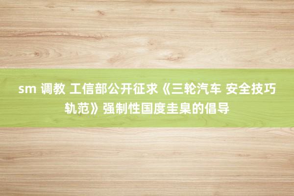 sm 调教 工信部公开征求《三轮汽车 安全技巧轨范》强制性国度圭臬的倡导