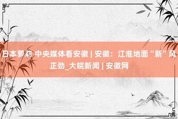 日本萝莉 中央媒体看安徽 | 安徽：江淮地面“新”风正劲_大皖新闻 | 安徽网