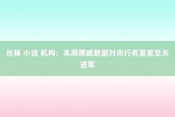 丝袜 小说 机构：本周挪威数据对央行有蓄意至关进军