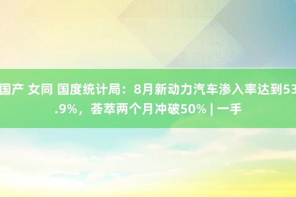 国产 女同 国度统计局：8月新动力汽车渗入率达到53.9%，荟萃两个月冲破50% | 一手