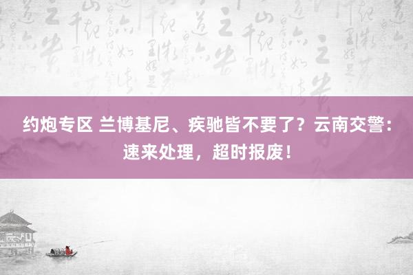 约炮专区 兰博基尼、疾驰皆不要了？云南交警：速来处理，超时报废！