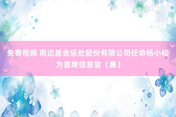 免费视频 南边基金惩处股份有限公司任命杨小松为首席信息官（兼）