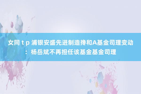 女同 t p 浦银安盛先进制造搀和A基金司理变动：杨岳斌不再担任该基金基金司理