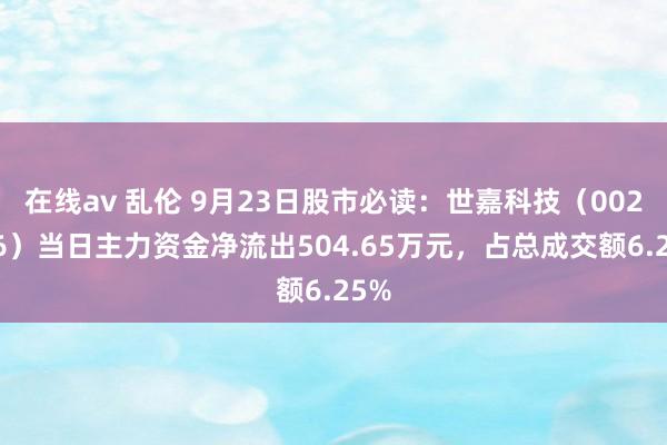 在线av 乱伦 9月23日股市必读：世嘉科技（002796）当日主力资金净流出504.65万元，占总成交额6.25%