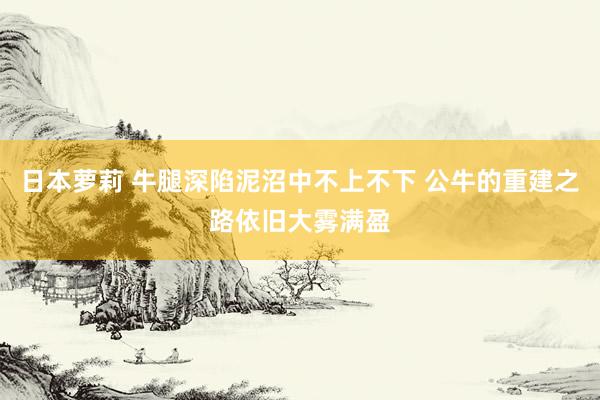 日本萝莉 牛腿深陷泥沼中不上不下 公牛的重建之路依旧大雾满盈