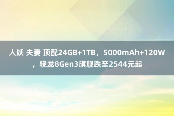 人妖 夫妻 顶配24GB+1TB，5000mAh+120W，骁龙8Gen3旗舰跌至2544元起