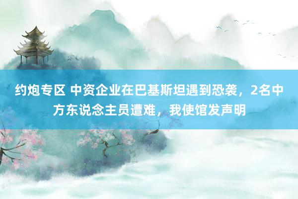 约炮专区 中资企业在巴基斯坦遇到恐袭，2名中方东说念主员遭难，我使馆发声明