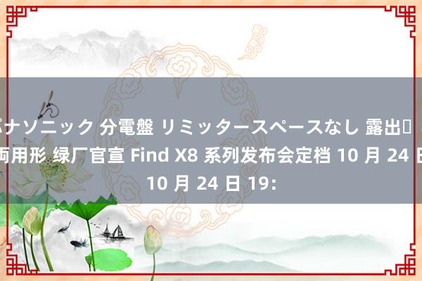 パナソニック 分電盤 リミッタースペースなし 露出・半埋込両用形 绿厂官宣 Find X8 系列发布会定档 10 月 24 日 19：