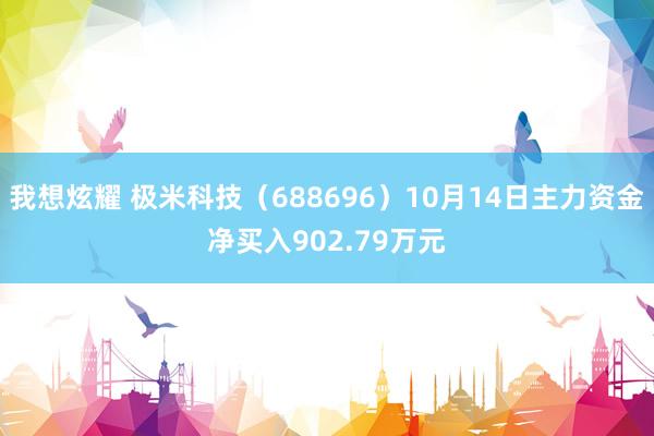 我想炫耀 极米科技（688696）10月14日主力资金净买入902.79万元