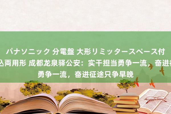 パナソニック 分電盤 大形リミッタースペース付 露出・半埋込両用形 成都龙泉驿公安：实干担当勇争一流，奋进征途只争早晚