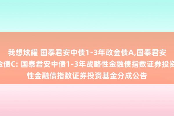 我想炫耀 国泰君安中债1-3年政金债A，国泰君安中债1-3年政金债C: 国泰君安中债1-3年战略性金融债指数证券投资基金分成公告