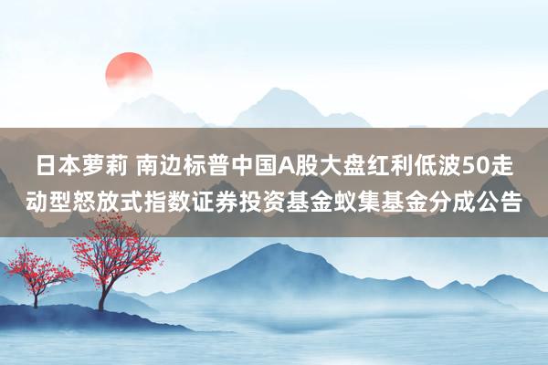 日本萝莉 南边标普中国A股大盘红利低波50走动型怒放式指数证券投资基金蚁集基金分成公告