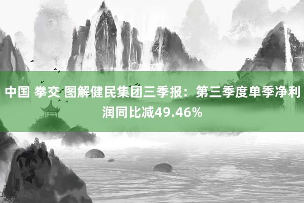 中国 拳交 图解健民集团三季报：第三季度单季净利润同比减49.46%