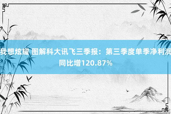 我想炫耀 图解科大讯飞三季报：第三季度单季净利润同比增120.87%