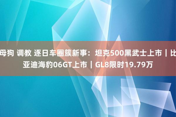 母狗 调教 逐日车圈簇新事：坦克500黑武士上市｜比亚迪海豹06GT上市｜GL8限时19.79万