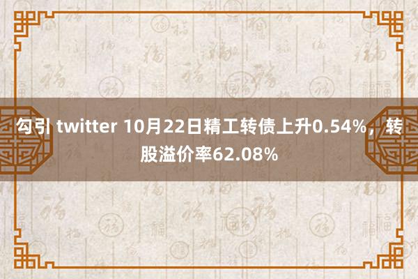 勾引 twitter 10月22日精工转债上升0.54%，转股溢价率62.08%