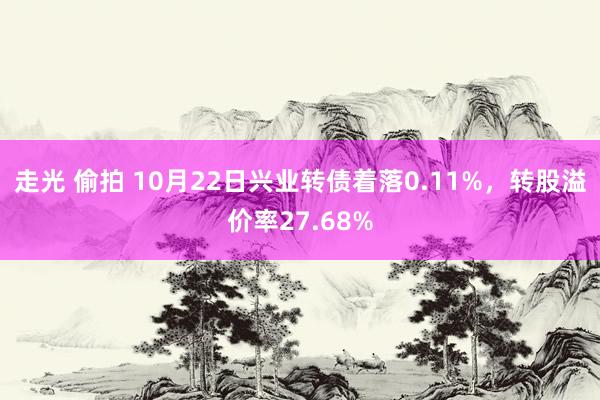 走光 偷拍 10月22日兴业转债着落0.11%，转股溢价率27.68%