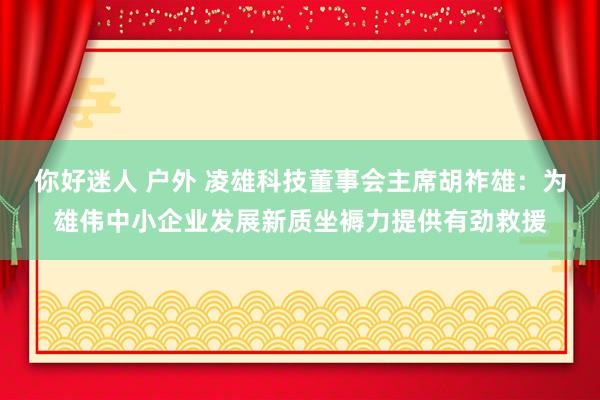 你好迷人 户外 凌雄科技董事会主席胡祚雄：为雄伟中小企业发展新质坐褥力提供有劲救援