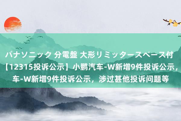パナソニック 分電盤 大形リミッタースペース付 露出・半埋込両用形 【12315投诉公示】小鹏汽车-W新增9件投诉公示，涉过甚他投诉问题等