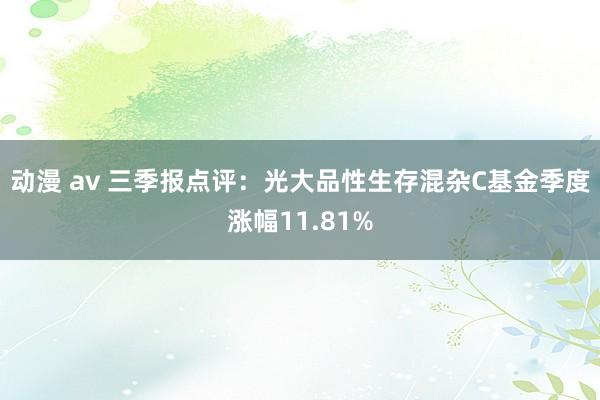 动漫 av 三季报点评：光大品性生存混杂C基金季度涨幅11.81%