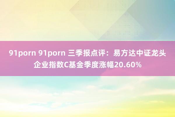 91porn 91porn 三季报点评：易方达中证龙头企业指数C基金季度涨幅20.60%