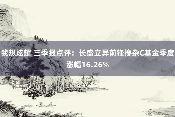 我想炫耀 三季报点评：长盛立异前锋搀杂C基金季度涨幅16.26%