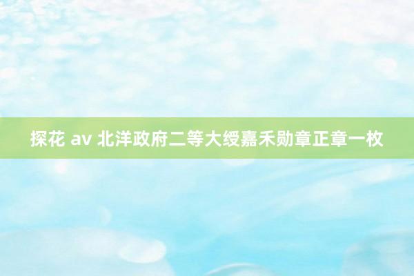 探花 av 北洋政府二等大绶嘉禾勋章正章一枚