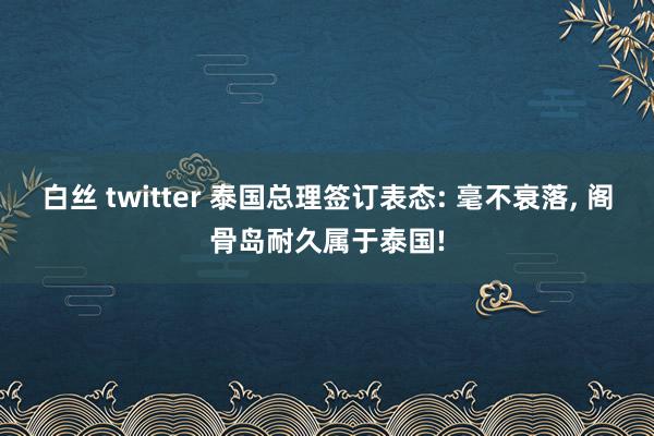 白丝 twitter 泰国总理签订表态: 毫不衰落， 阁骨岛耐久属于泰国!