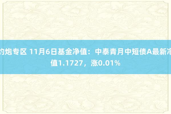 约炮专区 11月6日基金净值：中泰青月中短债A最新净值1.1727，涨0.01%