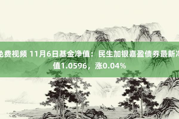 免费视频 11月6日基金净值：民生加银嘉盈债券最新净值1.0596，涨0.04%