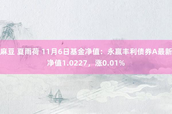 麻豆 夏雨荷 11月6日基金净值：永赢丰利债券A最新净值1.0227，涨0.01%