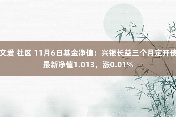 文爱 社区 11月6日基金净值：兴银长益三个月定开债最新净值1.013，涨0.01%