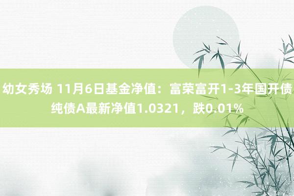 幼女秀场 11月6日基金净值：富荣富开1-3年国开债纯债A最新净值1.0321，跌0.01%