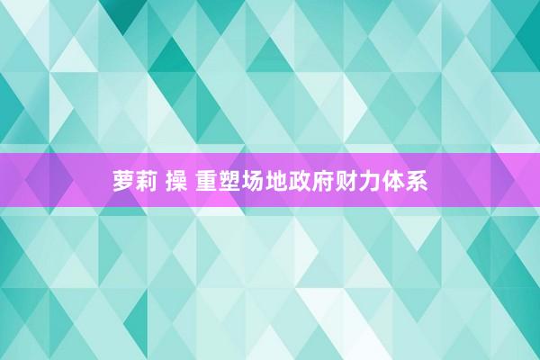 萝莉 操 重塑场地政府财力体系