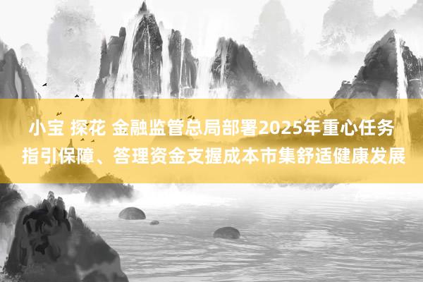 小宝 探花 金融监管总局部署2025年重心任务 指引保障、答理资金支握成本市集舒适健康发展